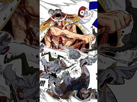 ONE PIECE EXISTS! | Whitebeard #onepiece #whitebeard