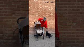 Nový Cybex Beezy 2024 #beezy #cybex #trendybaby #2024