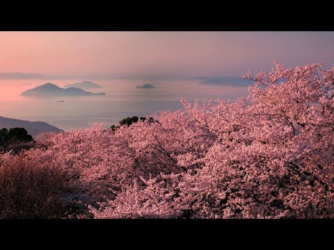 🌸 Sublab - Last Time I Saw U [Electronic]