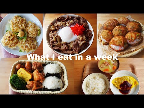 A week of meals | made bentos after long time and went to picnic 🍙🐛 | Japanese