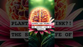 Plants Can THINK?! 🤯 The Secret Life of Plants #PlantConsciousness #nature #life #consciousness