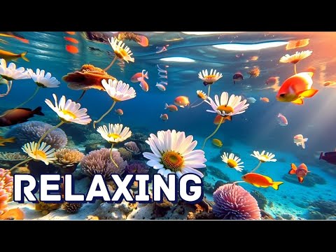 The Ultimate Ocean Relaxing Experience - Relaxing, Autism, Sensory and ASMR